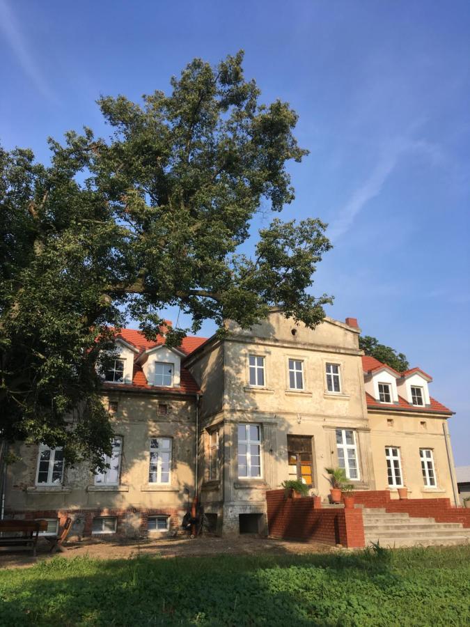 Palac Osowo Gostynskie Kültér fotó