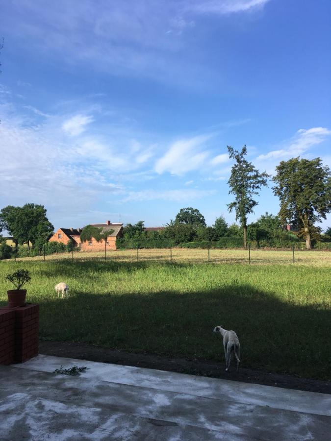 Palac Osowo Gostynskie Kültér fotó