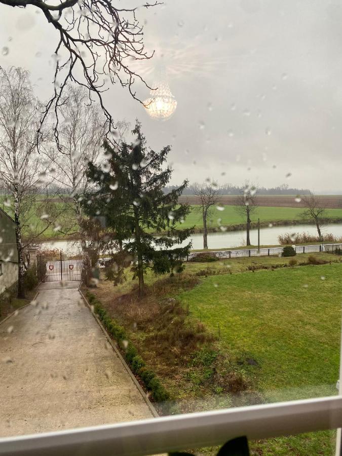 Palac Osowo Gostynskie Kültér fotó